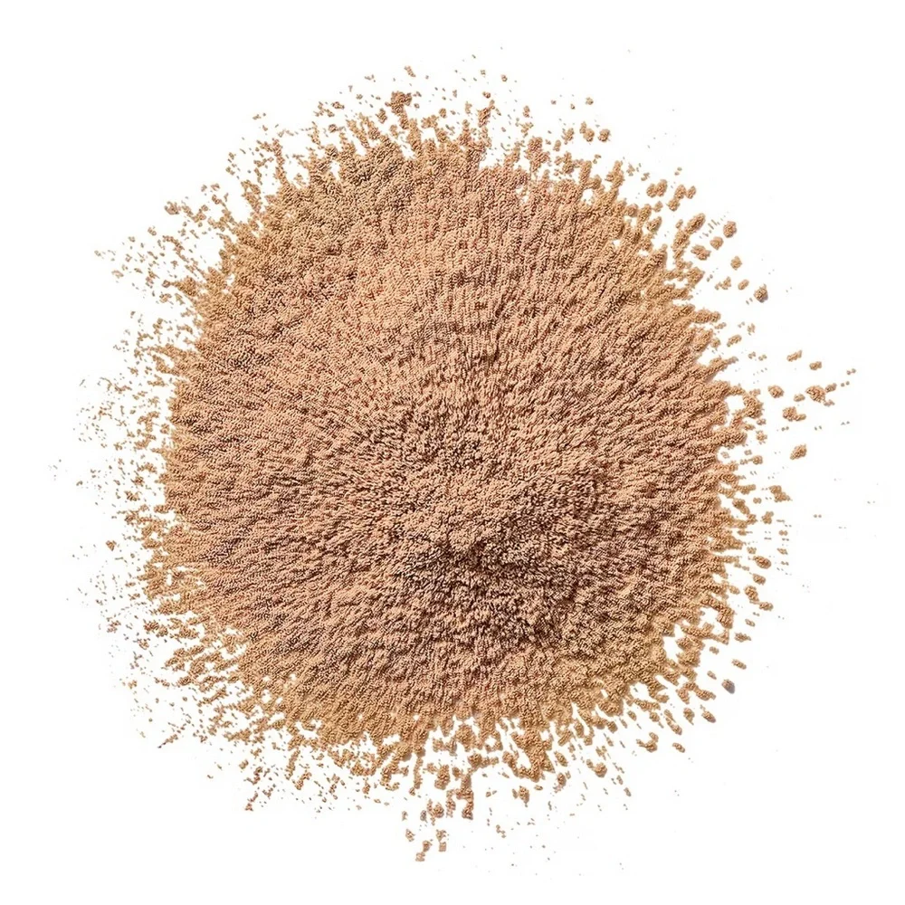 Clinique 10 Transparency Bronze Blended Face Powder .88oz